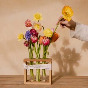 Bulbos en soporte de probetas